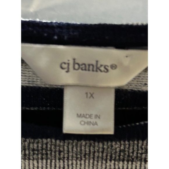 C J Banks size 1X blue striped soft button accents pullover top - Picture 4 of 7